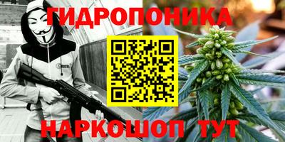 эйфоретик Пушкино