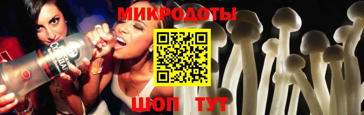 Санкт-Петербург  Галлюциногенные грибы Psilocybe  Вход с VPN 